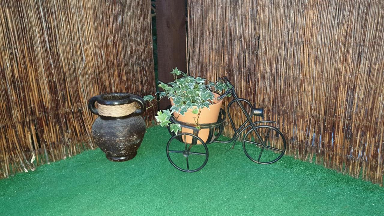 Pokoje U Michala 米兹多洛杰 外观 照片