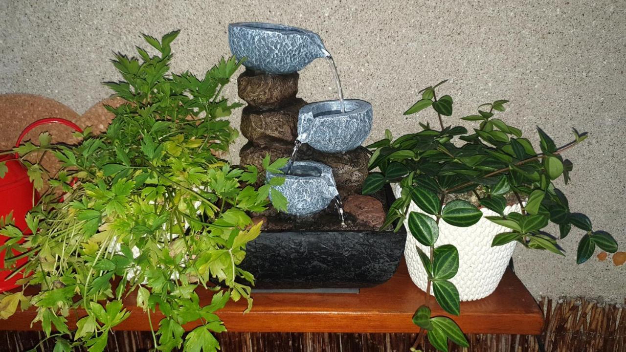 Pokoje U Michala 米兹多洛杰 外观 照片